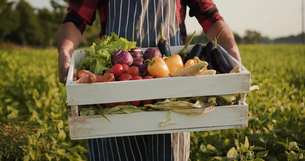 15 buone ragioni per mangiare biologico