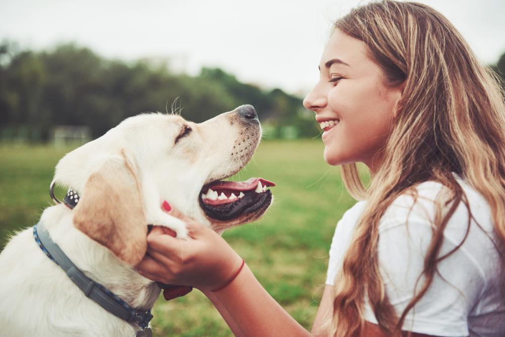 Come capire il cane