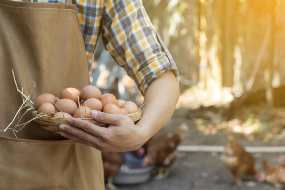 Dal produttore al consumatore