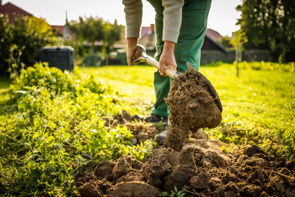 Orticoltura: La conformazione del terreno