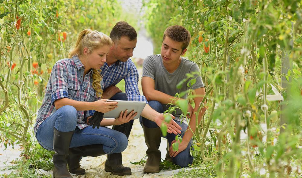 Come aprire una fattoria didattica: consigli per inserire attività formative nella tua azienda