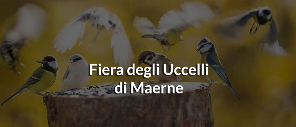 Fiera degli Uccelli di Maerne