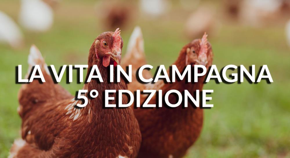 5° Edizione Fiera Vita in Campagna