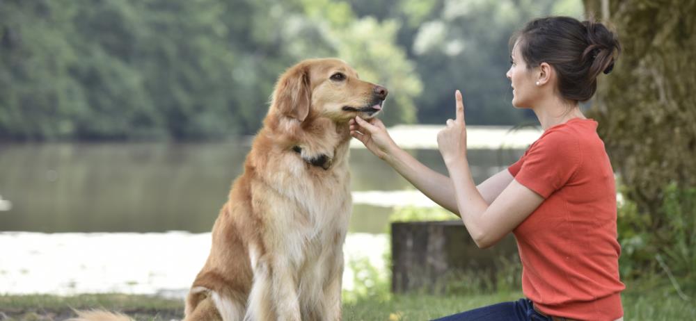 Alcune regole di comunicazione con il vostro cane