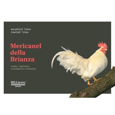 Mericanel della Brianza