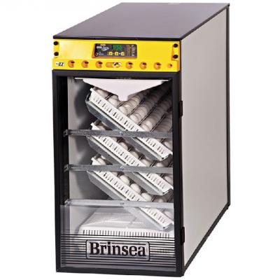 Incubatrice Professionale Brinsea | Modello Ova Easy 380 EX Totalmente Auto.