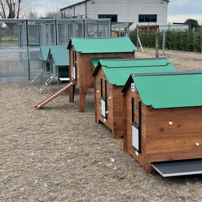 Pollaio per Galline Modello Marans XL Con Porta Anti Predatore |  In Laminato Plastico