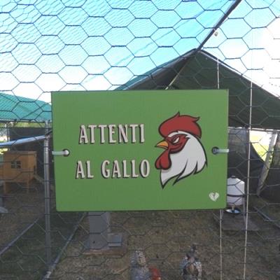 Targhetta per Pollaio | Attenti al Gallo