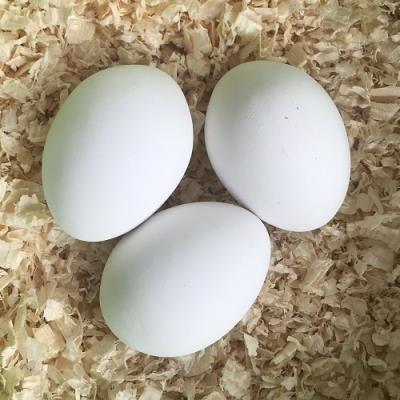 Uova Finte Di Gallina In Ceramica | Colore Bianco